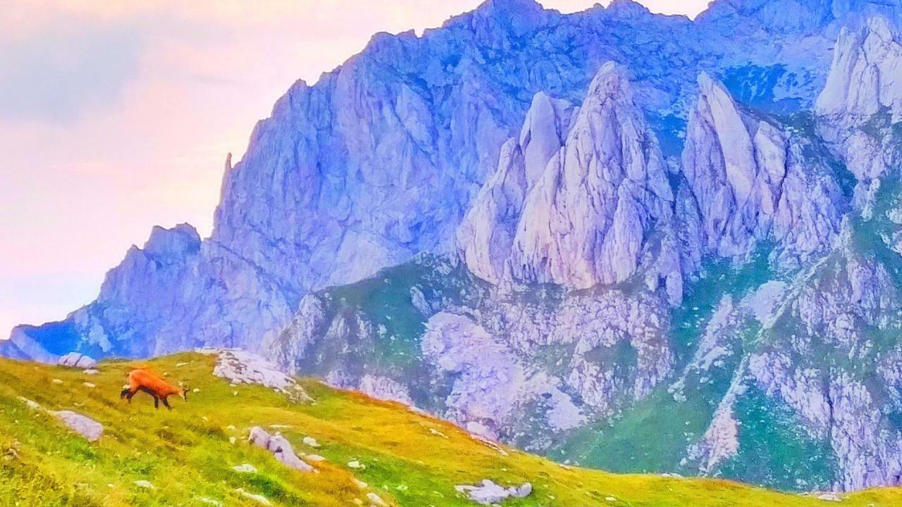 Apartments Durmitor Žabljak Eksteriør bilde
