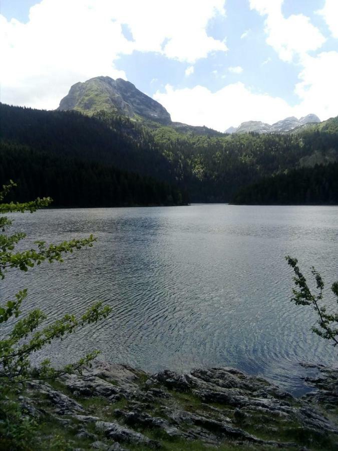 Apartments Durmitor Žabljak Eksteriør bilde